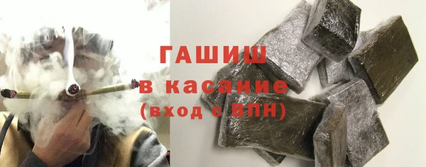 гидра Елизово
