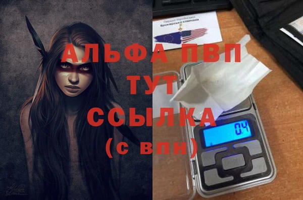 гидра Елизово
