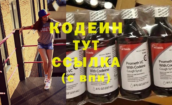 гидра Елизово