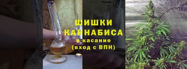 гидра Елизово