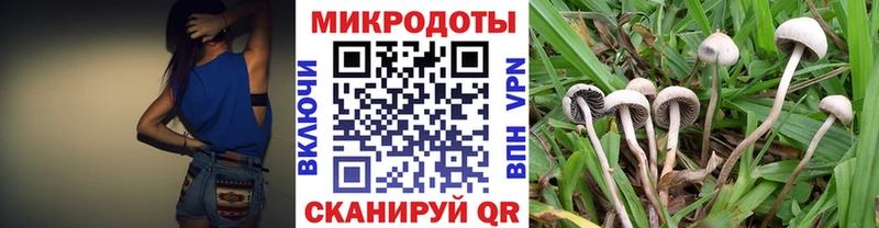 цена наркотик  нарко площадка официальный сайт  Псилоцибиновые грибы ЛСД  Темрюк 